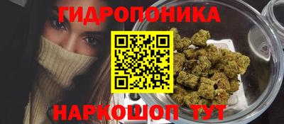 трава Пугачёв
