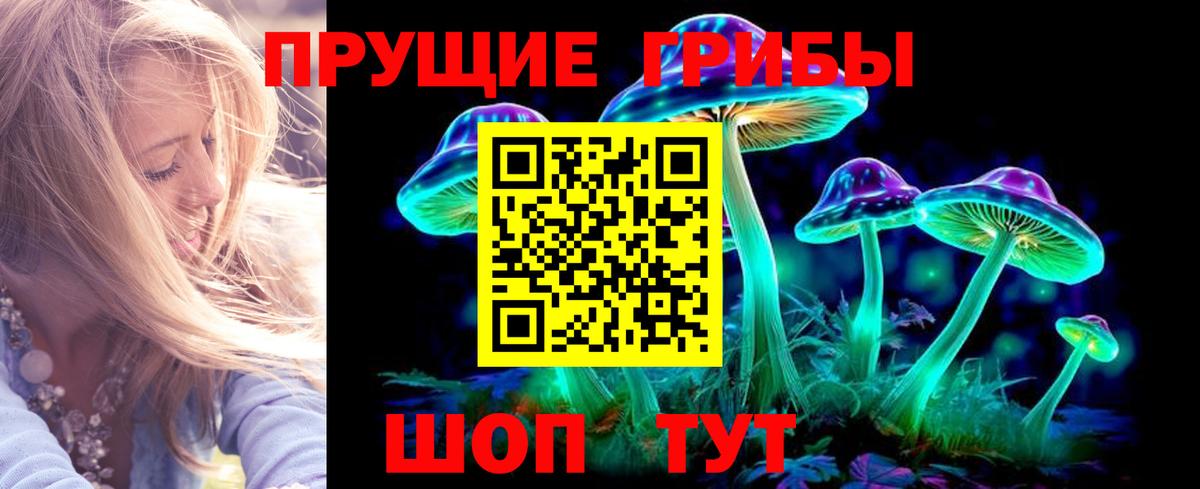Псилоцибиновые грибы мицелий  Вход с VPN  Светлоград 