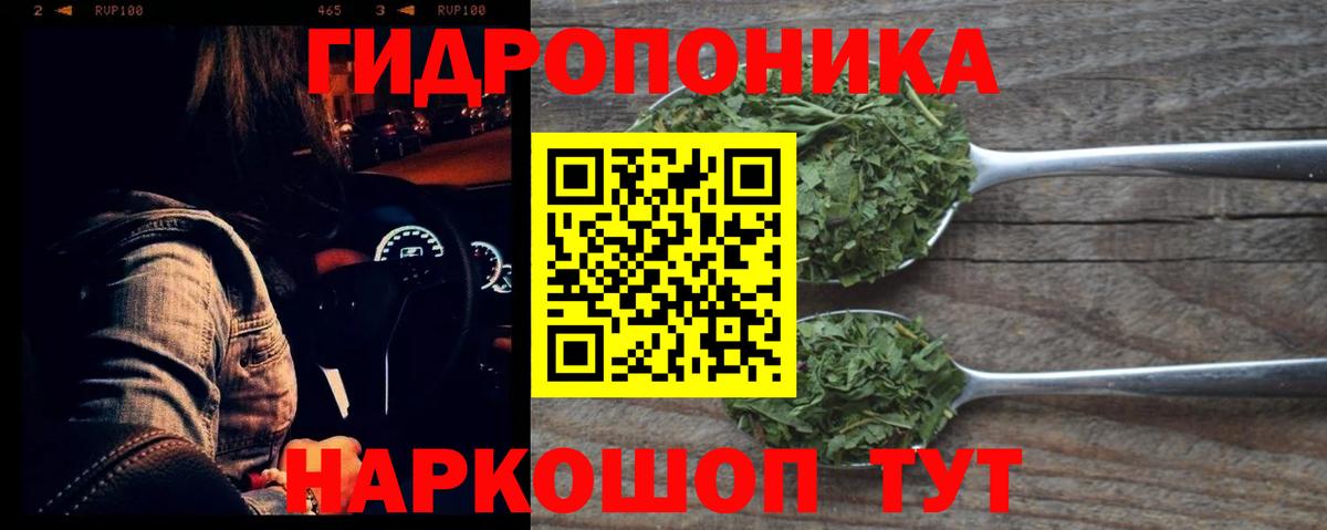 Марихуана гибрид Светлоград